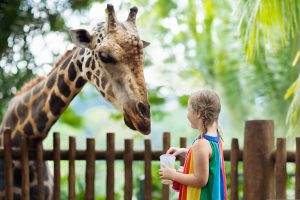 Holiday Gifts for Kids Under 2 | Zoo Membership