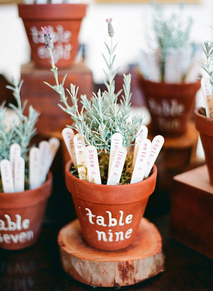 Potted Plant Escort sticks