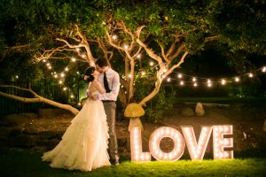 The Best DIY Wedding Ideas: LOVE DIY Marquee Letters