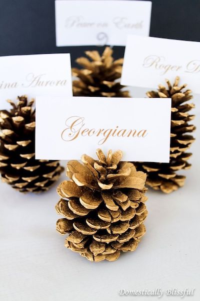 pinecone place cards