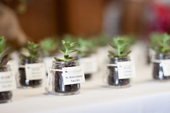 Mini Potted Succulent Favor