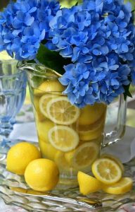 blue white lemons decoration