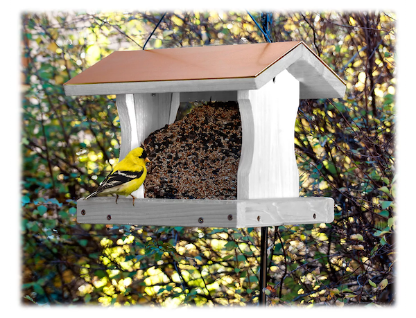 Gifts We Love for the Outdoor Enthusiast | Bird Feeder