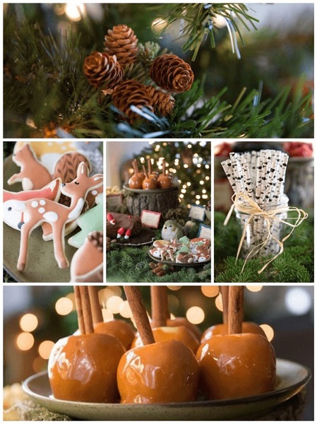 Winter Woodland Baby Shower Theme