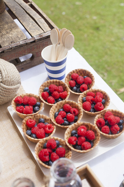 Berry Fruit Cups Inspiration