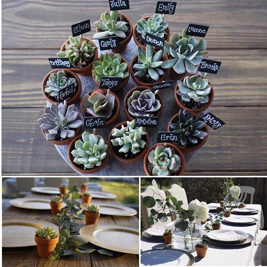 Easy Bridal Shower Tips | Succulents | Succulent Place cards | Succulent Centerpieces