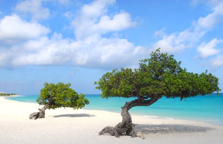 Planning a honeymoon | Aruba honeymoon