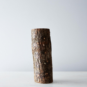 Unique Registry Items From Food52 | DIY Grow Your Own Mushroom Log