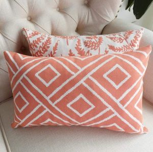 Accent Pillow Covers