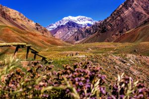 Honeymoon Destinations You'll Fall in Love with This Fall | Buenos Aires & Mendoza, Argentina