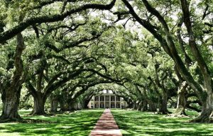 Honeymoon Destinations You'll Fall in Love with This Fall | New Orleans