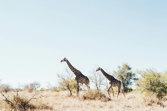 Honeymoon Destinations You'll Fall in Love with This Fall | Cape Town & Winelands, South Africa