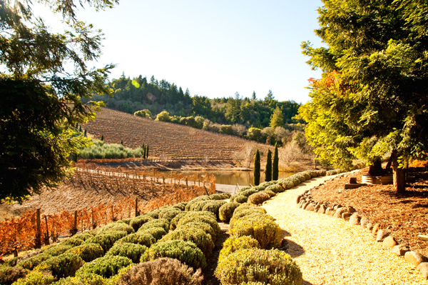 Healdsburg | U.S. honeymoon