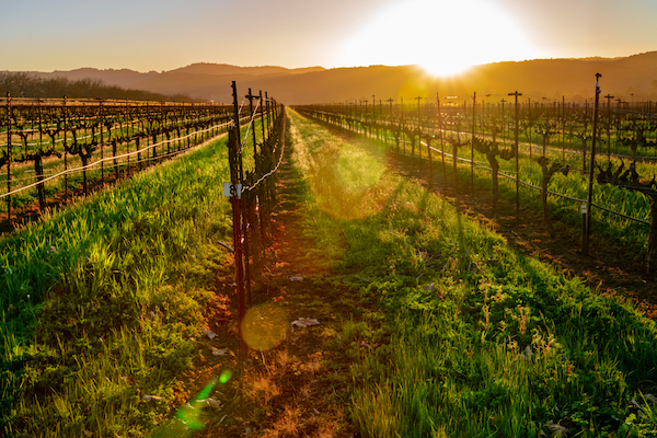 Top honeymoon destinations | Sonoma