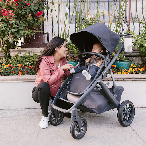 UPPAbaby Vista