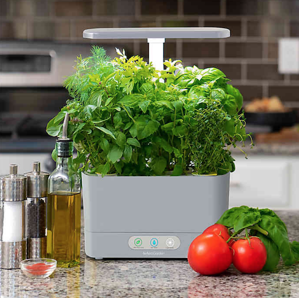 Sustainable Wedding Registry Gifts for the Eco-Conscious Couple | AeroGarden Harvest with Gourmet Herb Seed Pod Kit