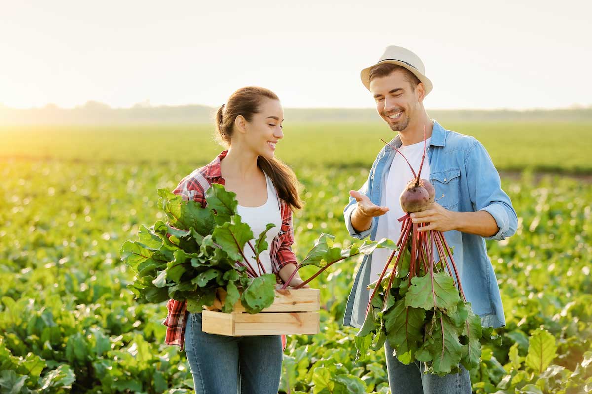 sustainable couple