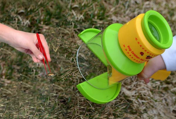 Top Amazon Toy List Gifts for Kids of All Ages | Bug Catcher and Viewer