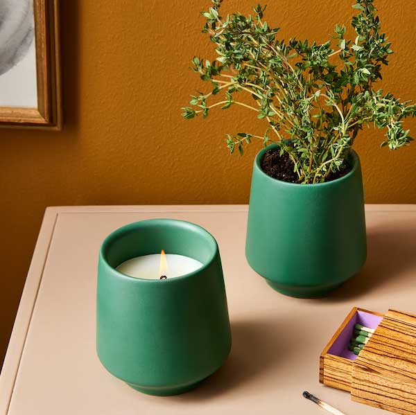 Our Top Hostess Gifts for 2024 | Plantable Scented Candle