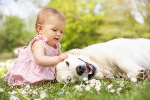 7 Tips for Helping Your Dog Adapt to Life with a New Baby