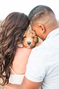 dog in wedding photo