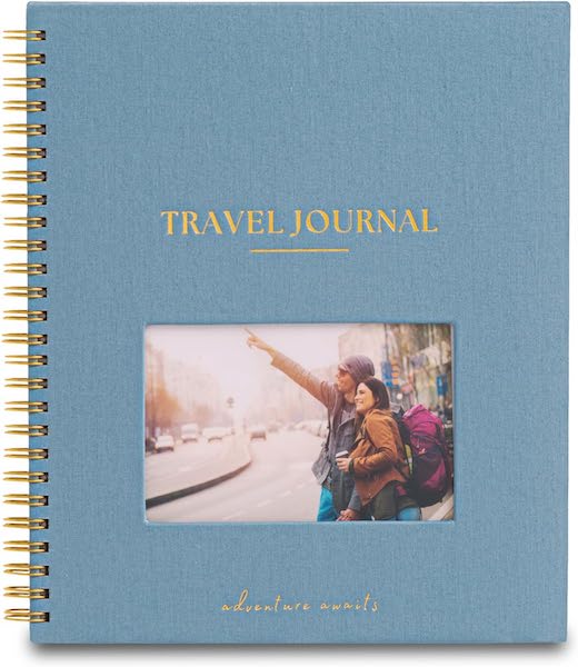 Plane Trip With Kids | Travel Journal