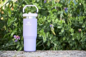 stanley tumbler