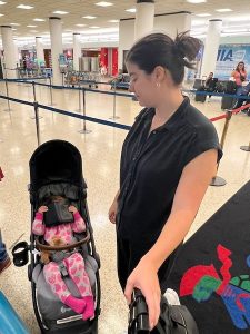 Efficient Travel Gear