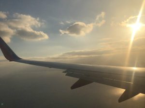 plane wing