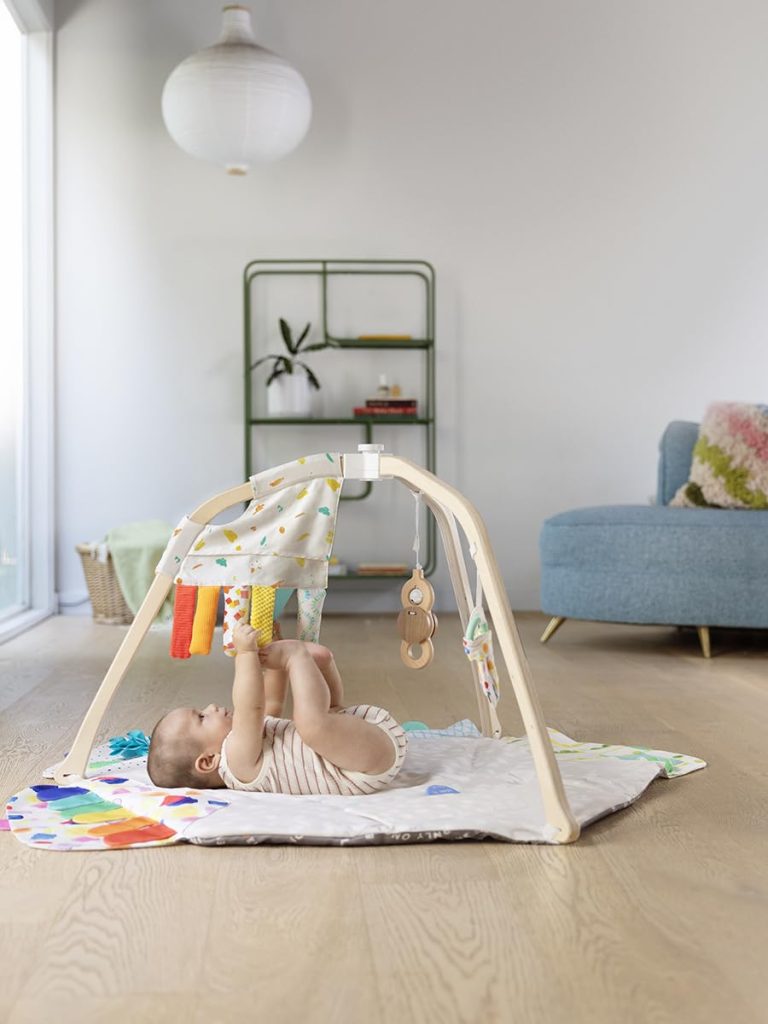 Lovevery Play Gym