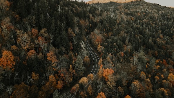 Asheville, North Carolina Honeymoon