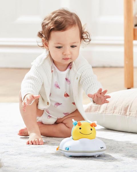 skip hop toy