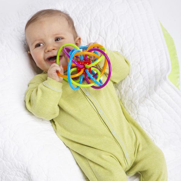 Toy Rattle